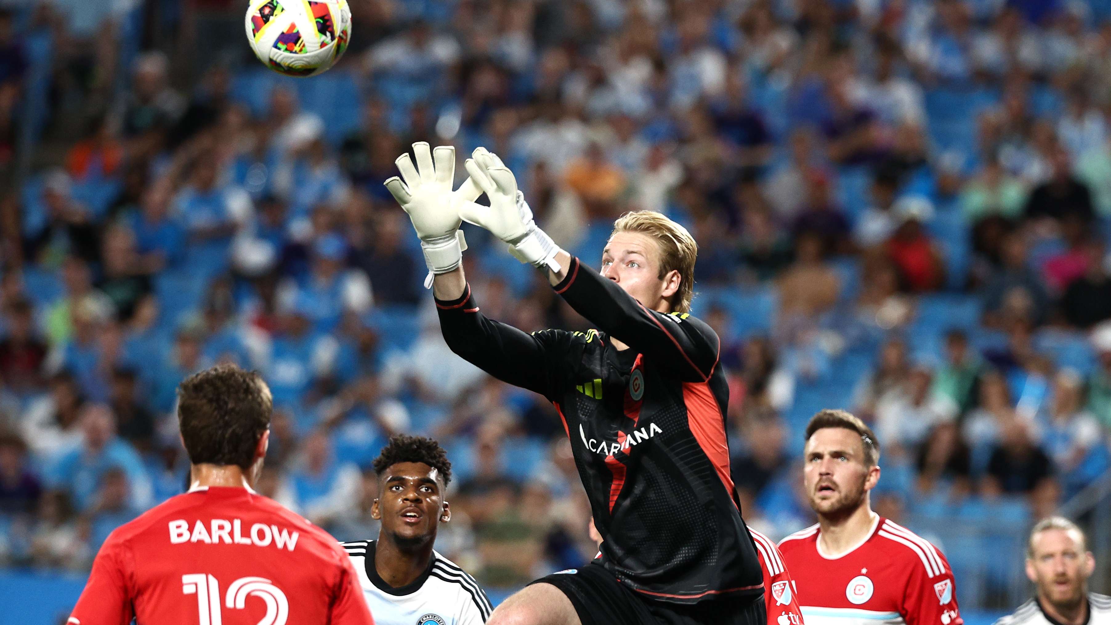 供了重要的 供了重要的